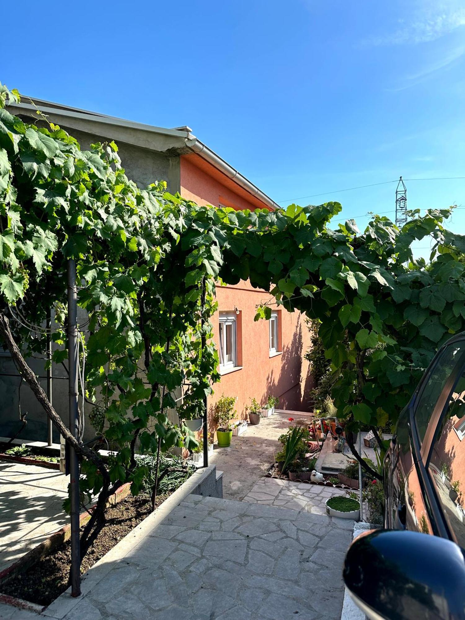 Ninic Family Apartments Tivat Exteriör bild